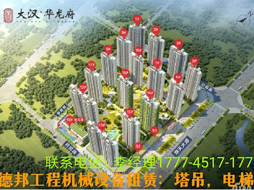 大汉.华龙府项目 ·案例
